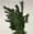 Pinus category icon/image