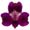 Alstroemerien, Inkalilie category icon/image