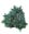 Abies, Edeltanne category icon/image
