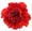 Dianthus, Nelken category icon/image