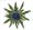 Eryngium, Distel category icon/image