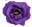 Eustoma, Lysianthus category icon/image