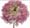 Ranunkeln category icon/image