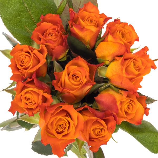 Rose MARIYO