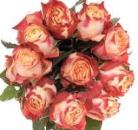 Rose CHAPEAU