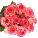 Rose JUMILIA